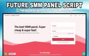 future smm panel script